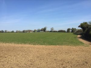 Photo 3- click for photo gallery